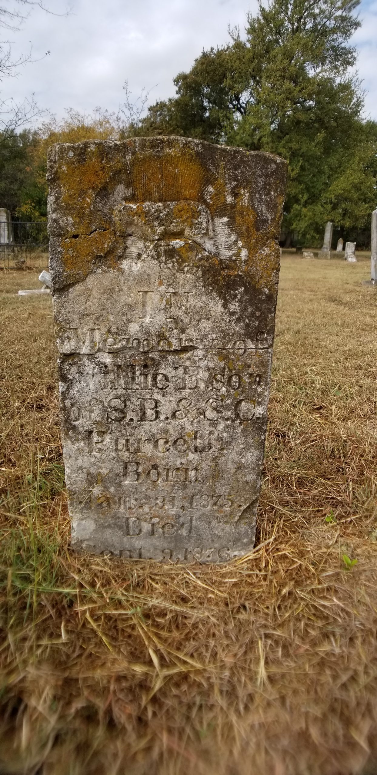 History Etched In Stone Central Texas Beat